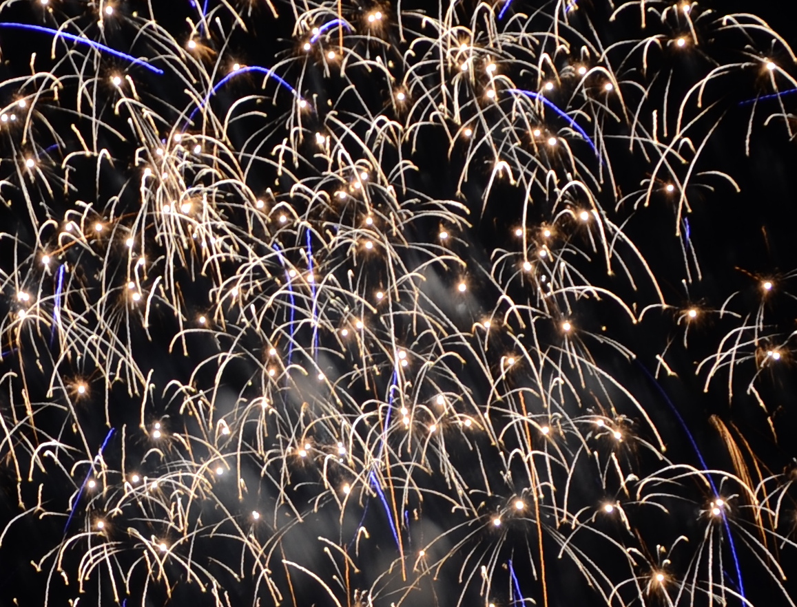 DSC_6100 - Copie (2)