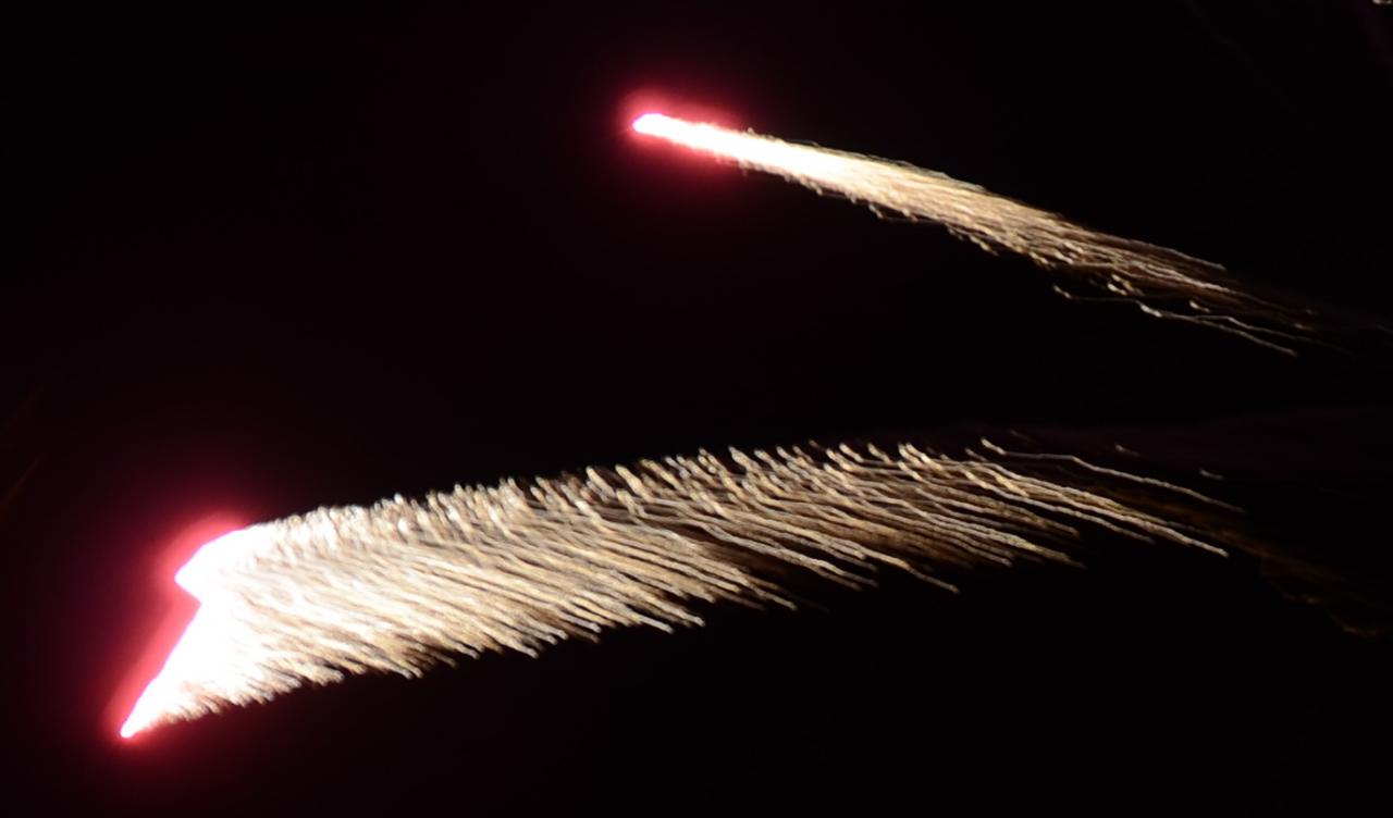 DSC_6102 - Copie (2)