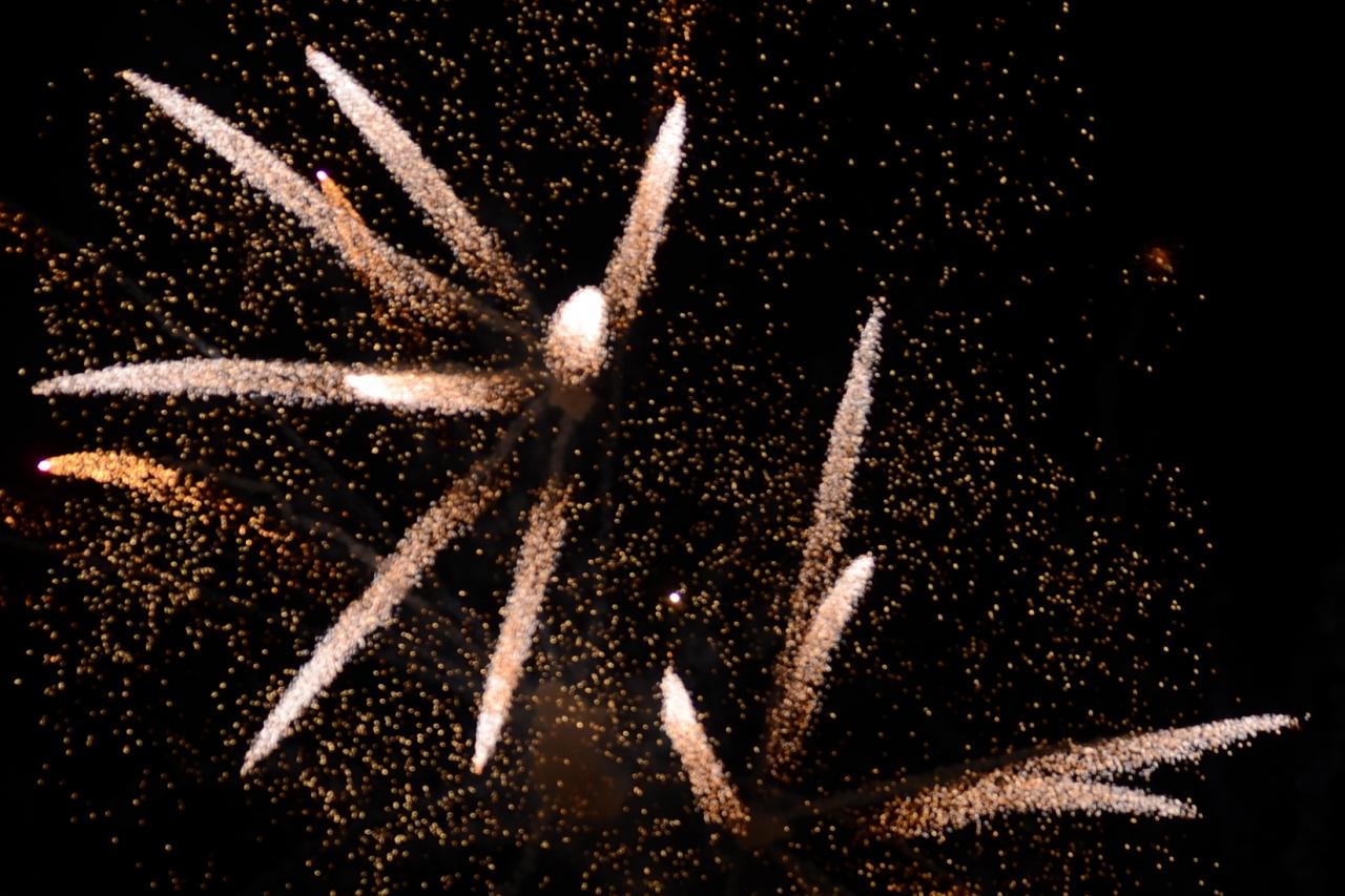 DSC_6132 - Copie (2)