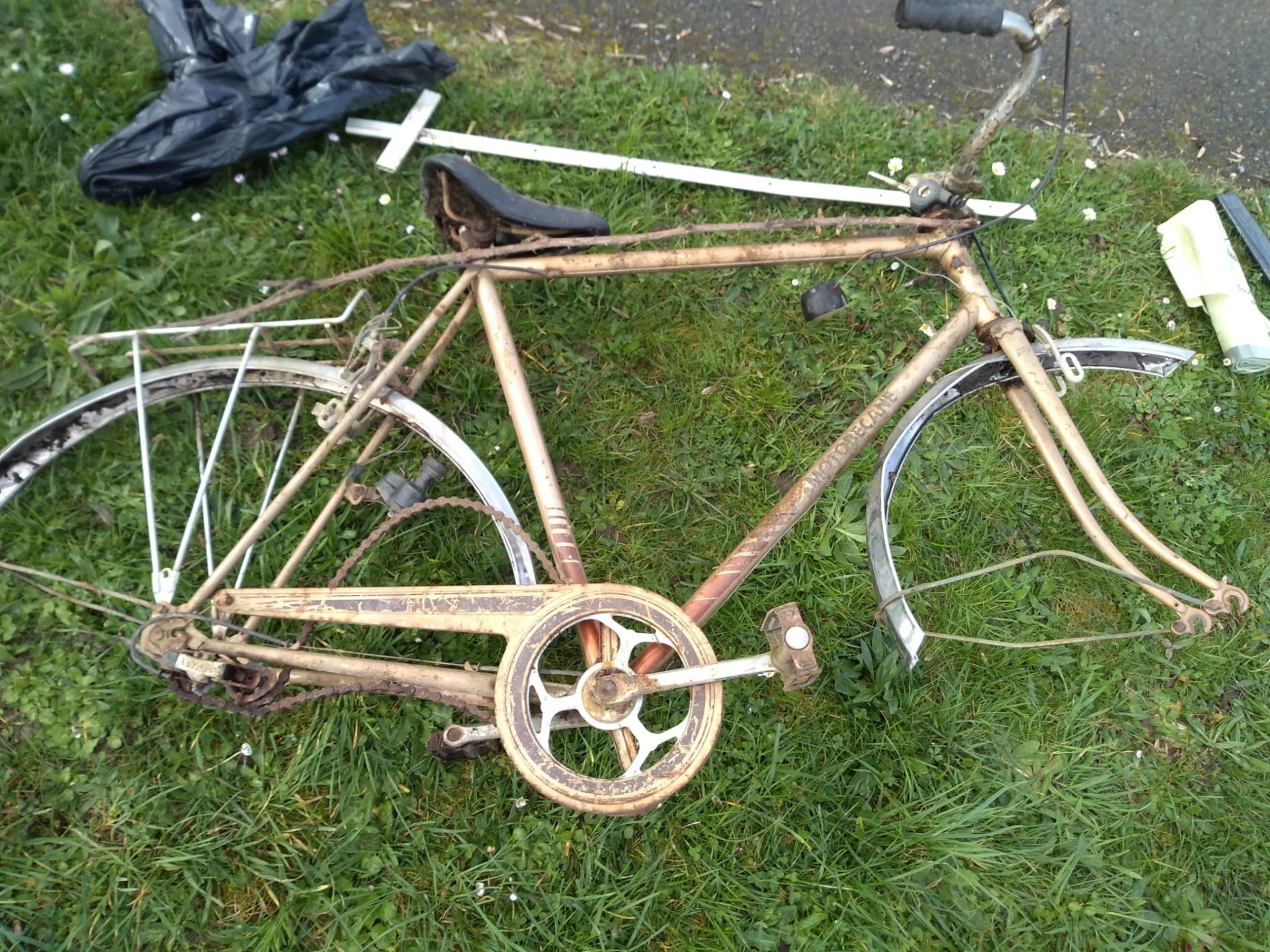 Photo 2024 03 16 11 18 36